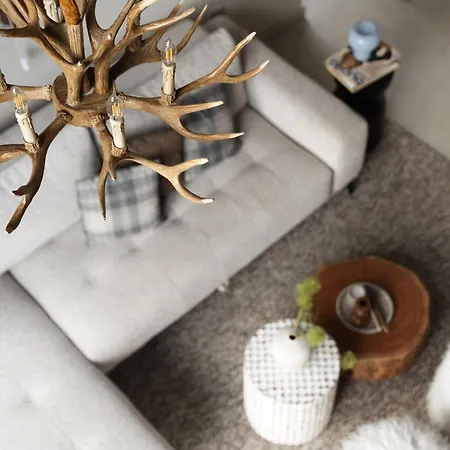 Gigi Mountain * Divčibare